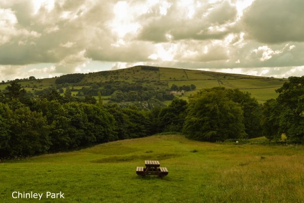 Chinley Park Local Nature Reserve